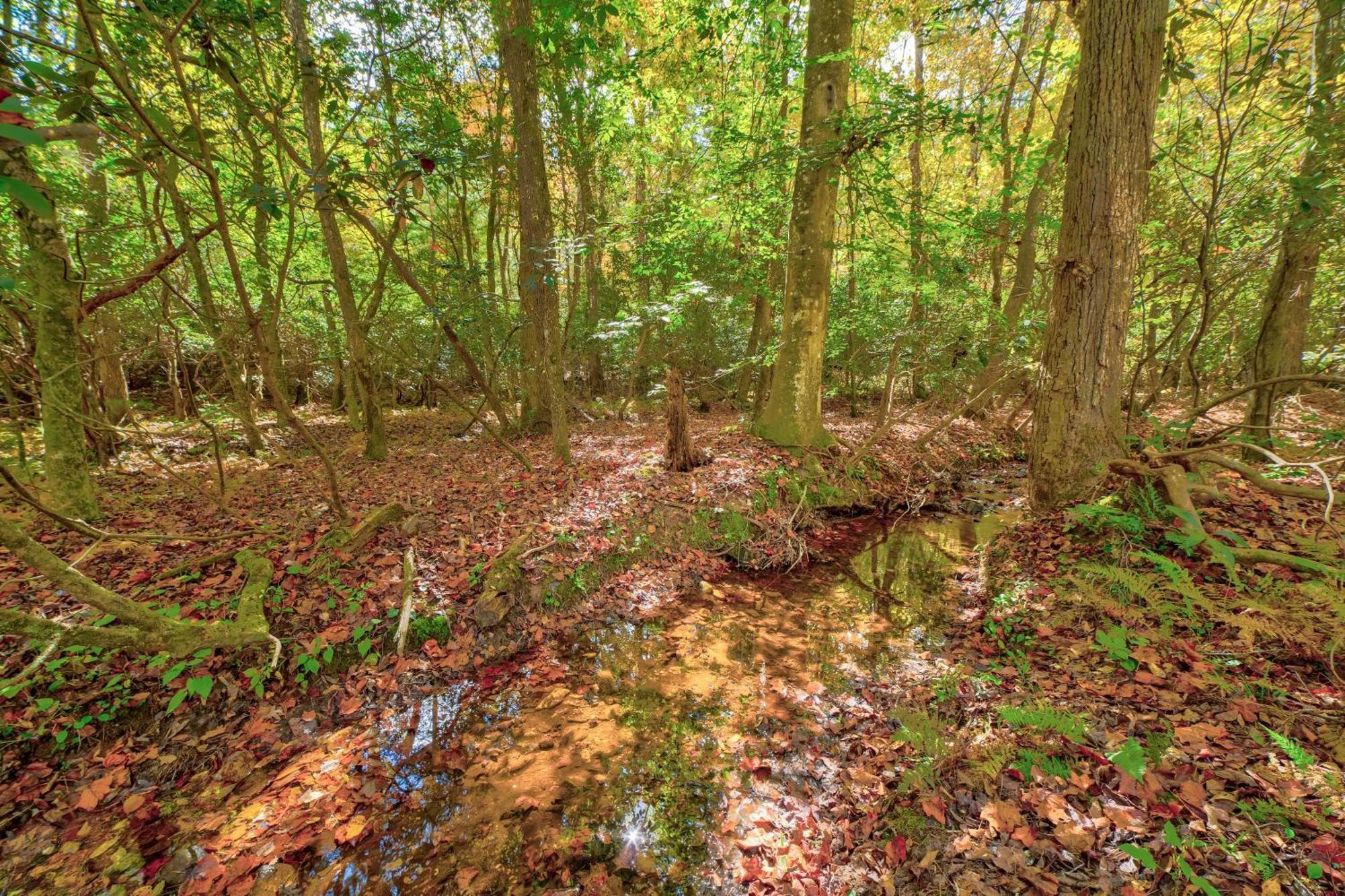 Ferny Creek Cottage Blairsville Zewnętrze zdjęcie